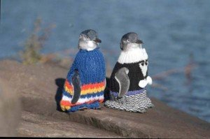 penguin jumpers